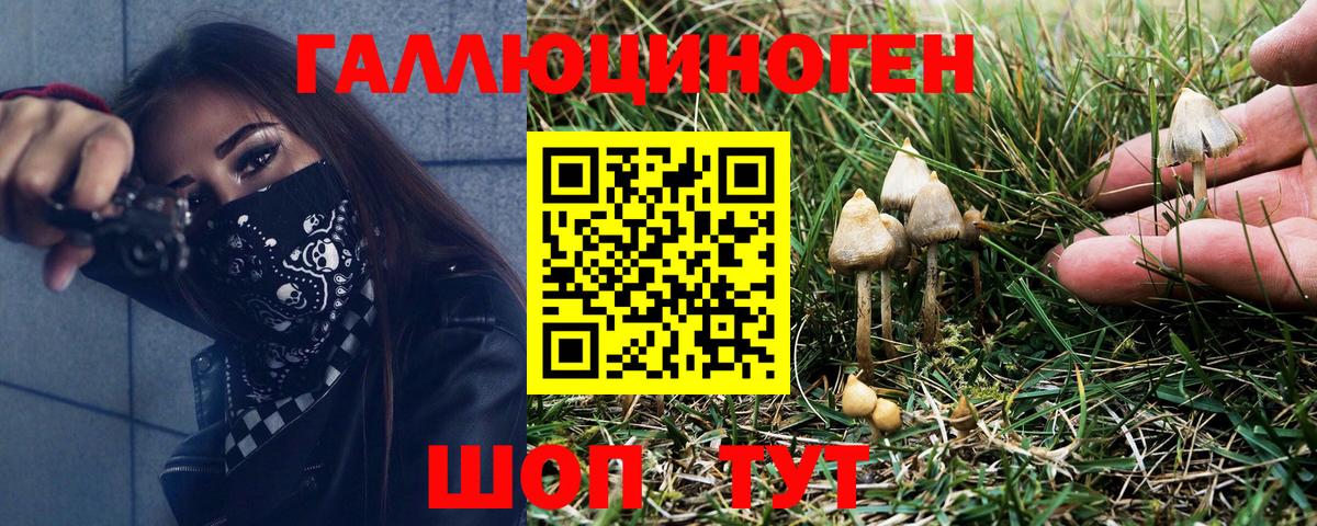Меф   Лсд 25  Вход с VPN  Cocaine  Михайловск  Меф МЯУ МЯУ  Канабис  ГАШИШ 
