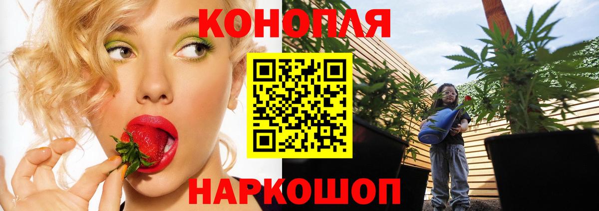 Шишки марихуана OG Kush Михайловск
